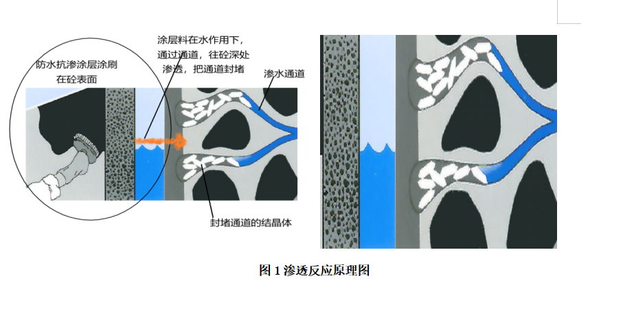 滲透反應(yīng)原理圖.jpg